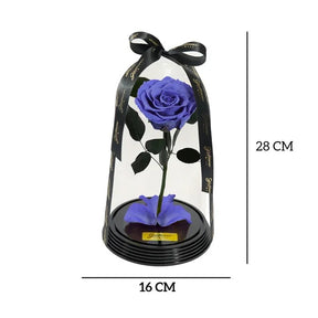 Fabulosa Rosa Encantada Lilás