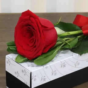 Sensacional Rosa Importada Vermelha