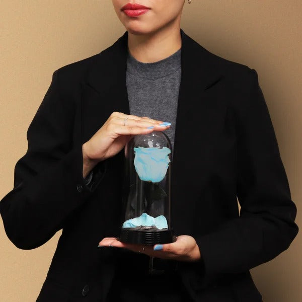 A Bela Rosa Encantada Azul Claro