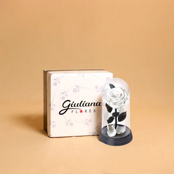 A Bela Rosa Encantada Branca