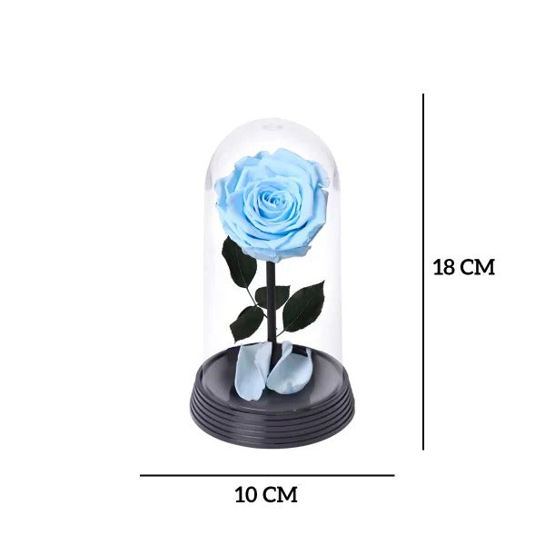 A Bela Rosa Encantada Azul Claro